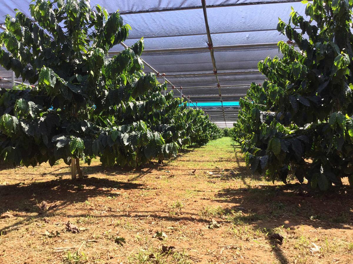 Matayoshi Coffee Farm Higashi Exterior foto