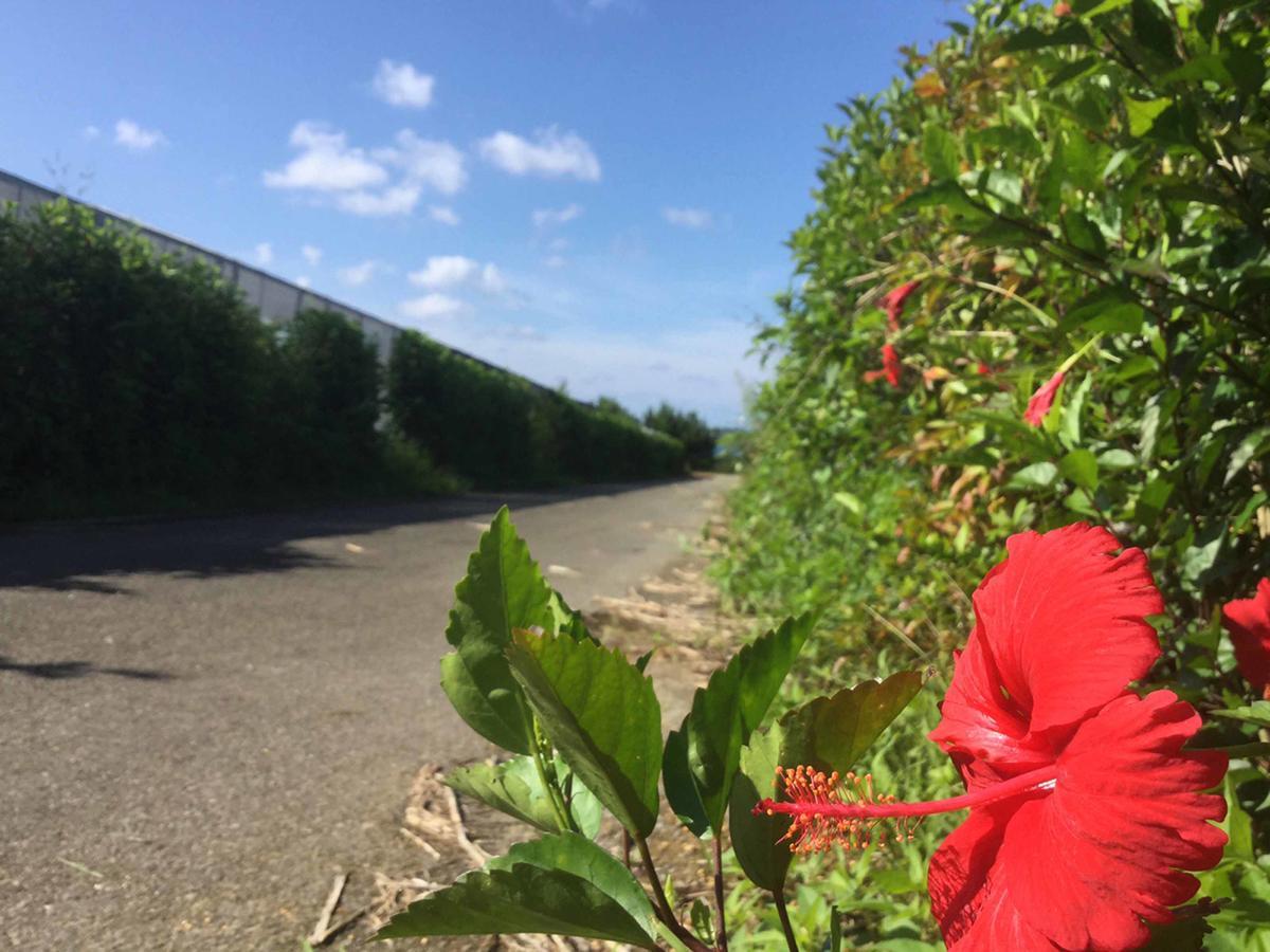 Matayoshi Coffee Farm Higashi Exterior foto